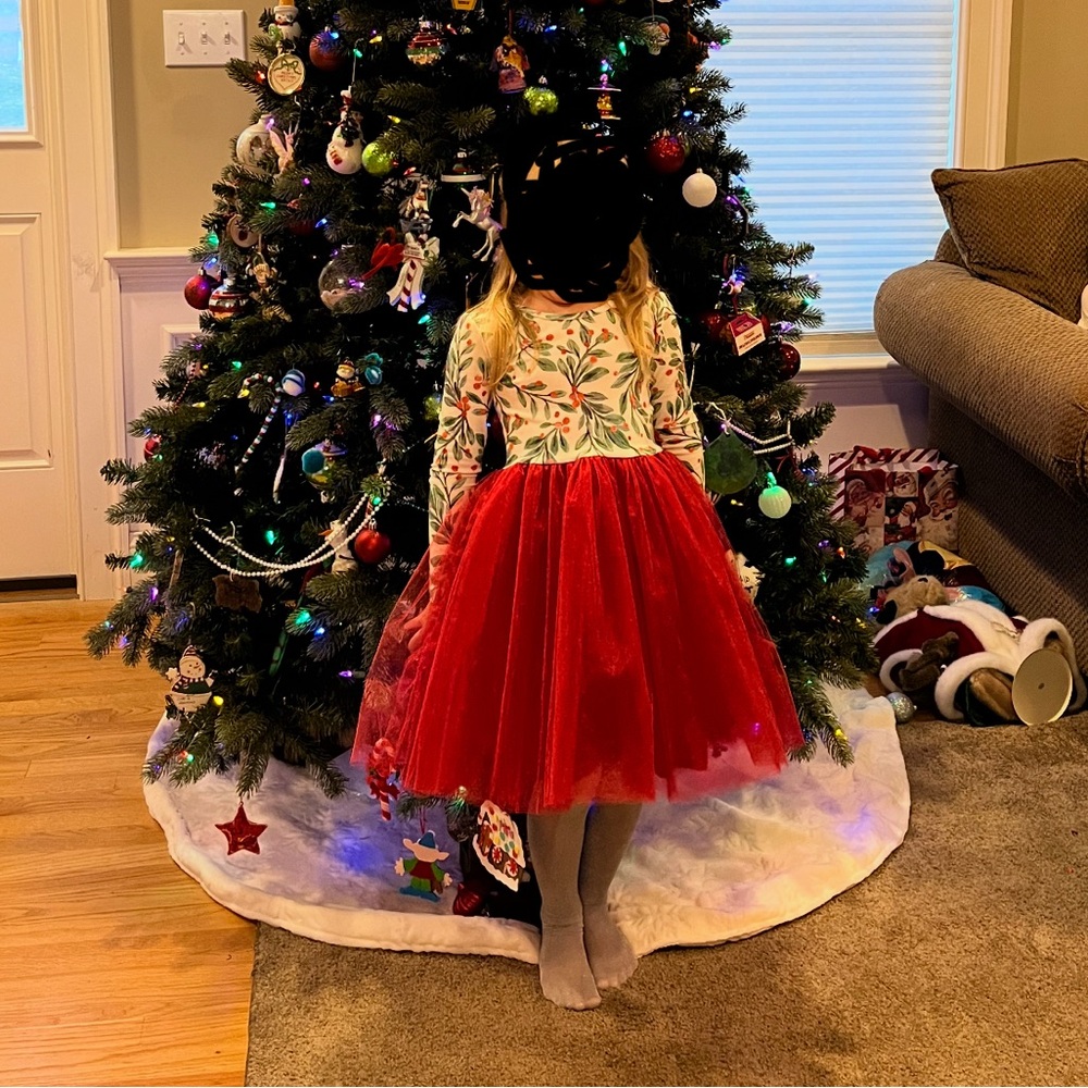 Festive Red Holly and Tulle Skirt Dress - Picture 3 of 6